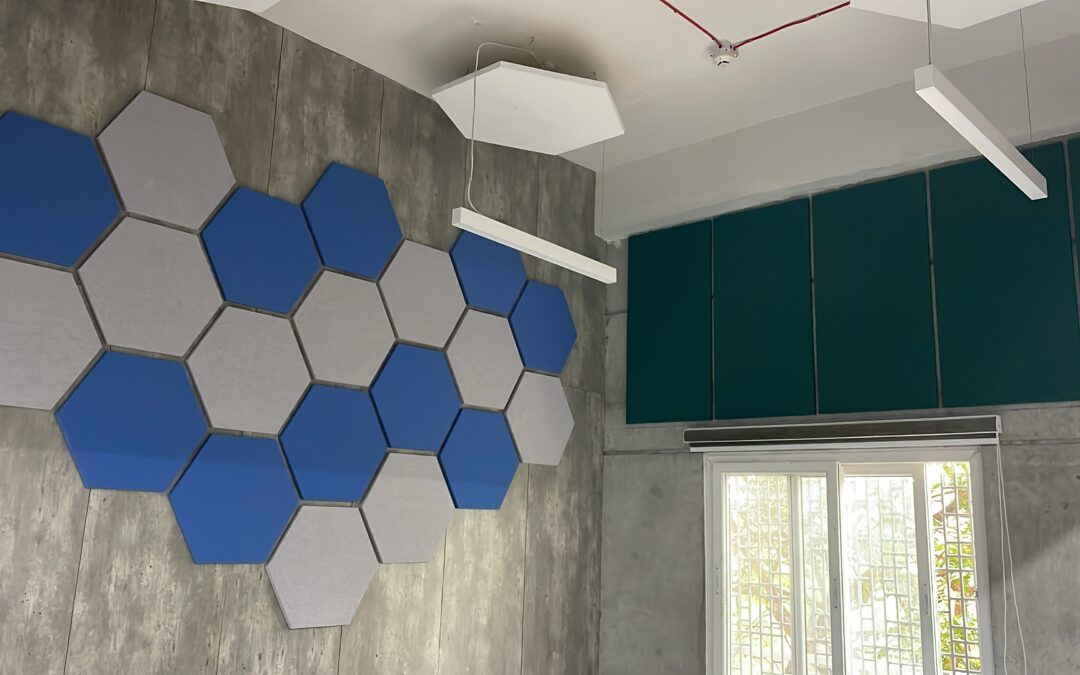 Retail & Showroom Acoustics